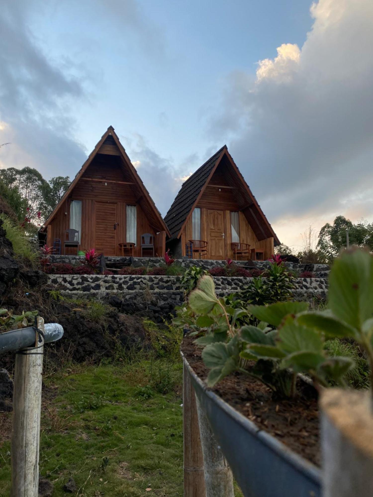 D' Tepi Danau Glamping 호텔 킨타마니 외부 사진